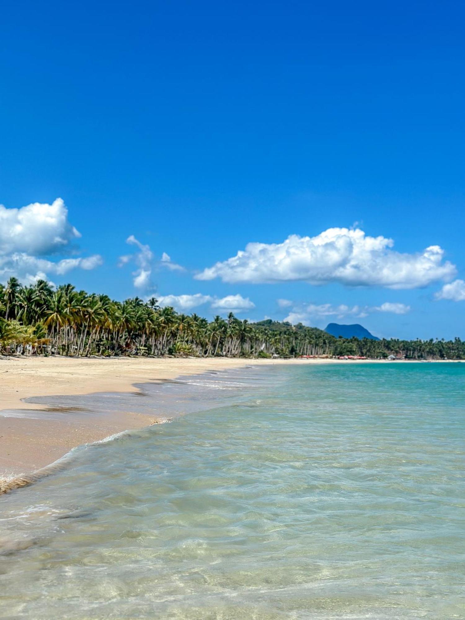 Eco Sanctuaries Nature Lodge Nacpan Beach, El Nido Dış mekan fotoğraf