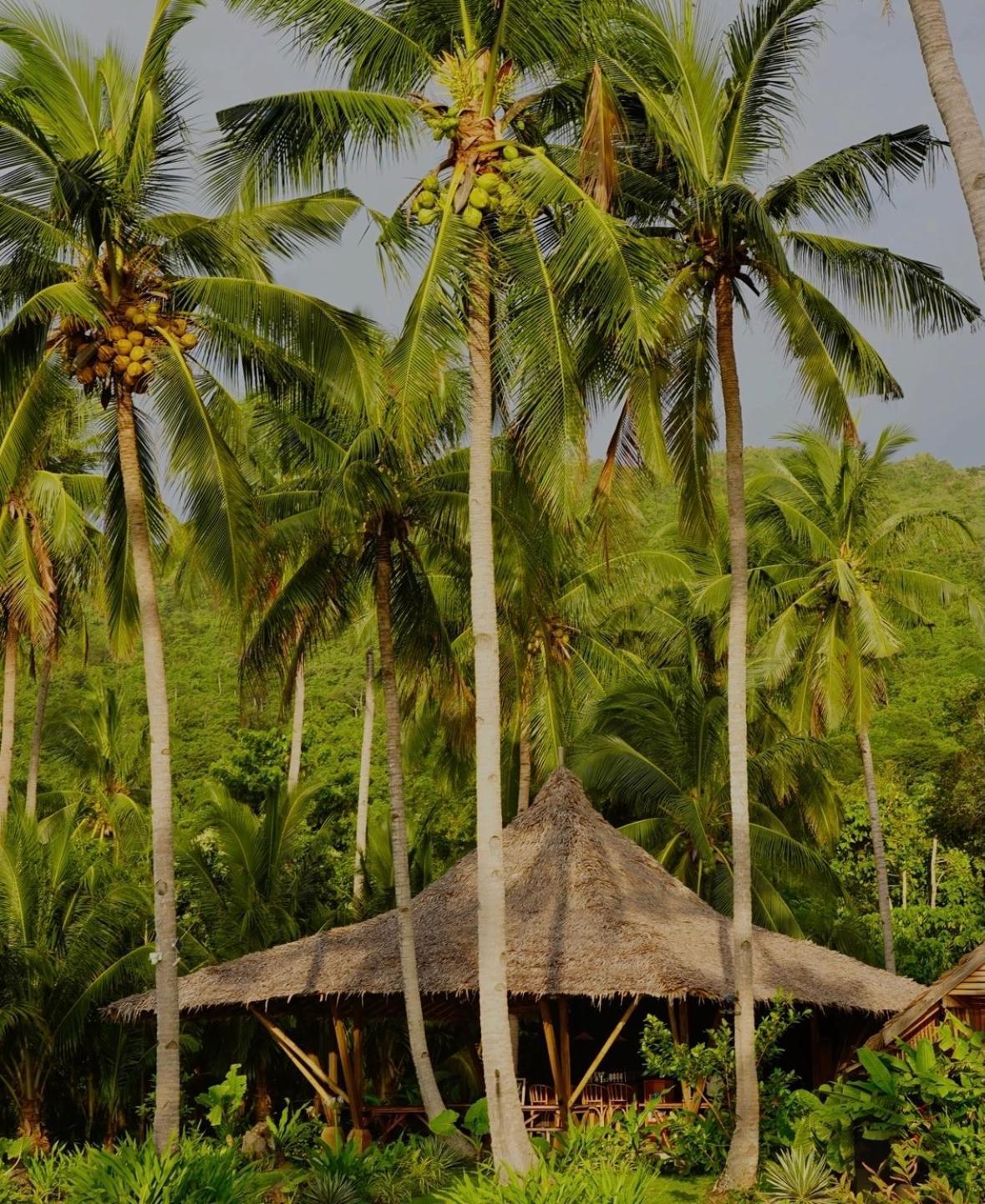 Eco Sanctuaries Nature Lodge Nacpan Beach, El Nido Dış mekan fotoğraf