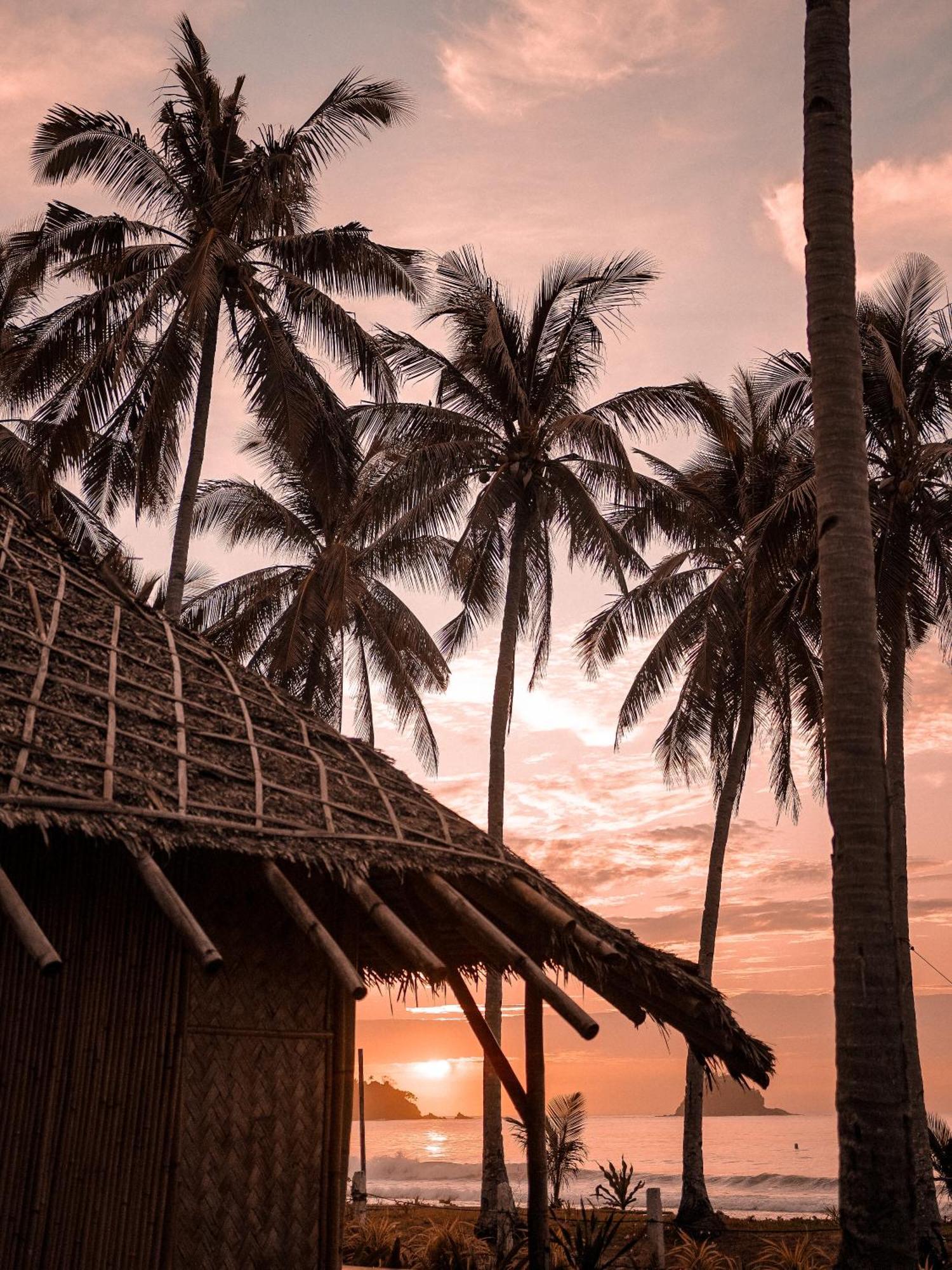 Eco Sanctuaries Nature Lodge Nacpan Beach, El Nido Dış mekan fotoğraf